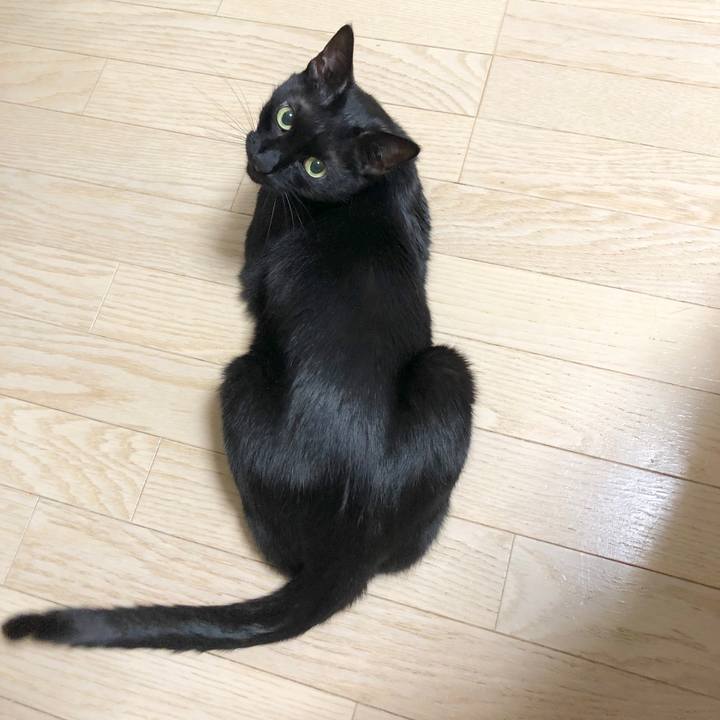 812bb824 75ea 4dd3 9c3f 0baf1eb44205 1589374460600