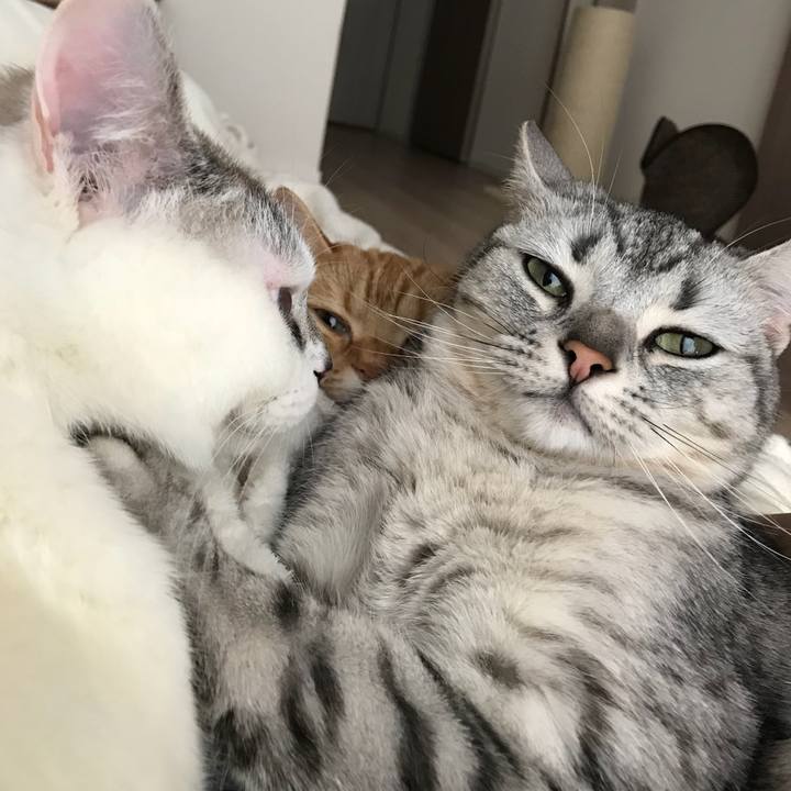 812bbf6a dc4e 4456 90ac 8b744dae77fa 1520639879396