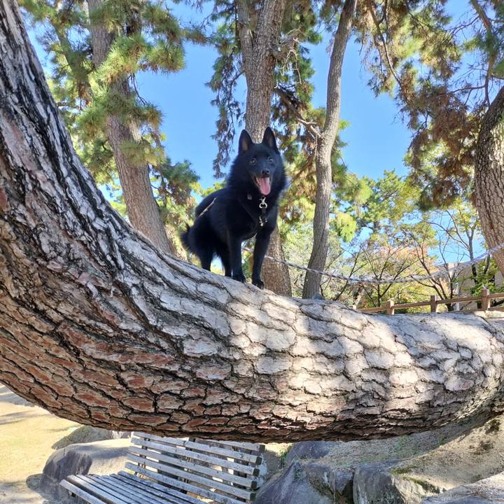 812bec48 ea85 400b aa74 f4d17468295e 1763293988125