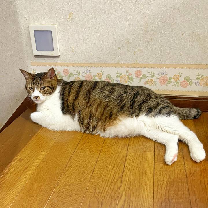 812bf14e 3e9f 4bc1 b54a be22ede9f3d9 1754261659375