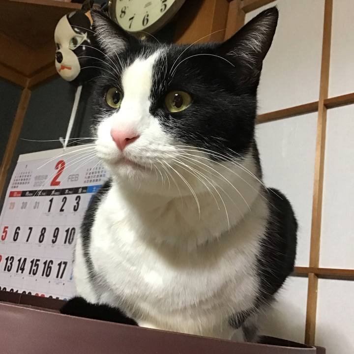 812c4fc5 65a5 4a27 84bf 82c0f1c3f350 1675682372390