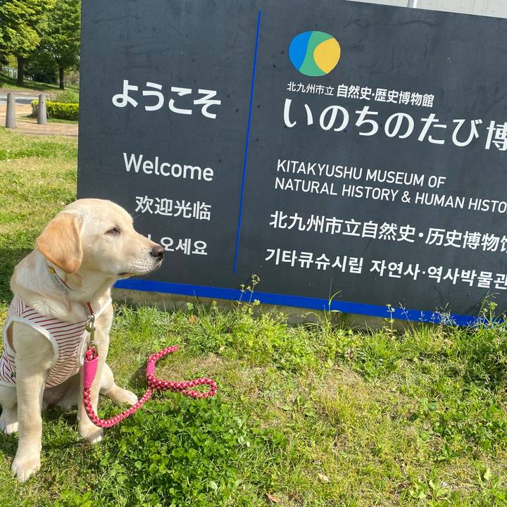 812c6726 ebcd 419d 842e f41af006aa93 1618116108747