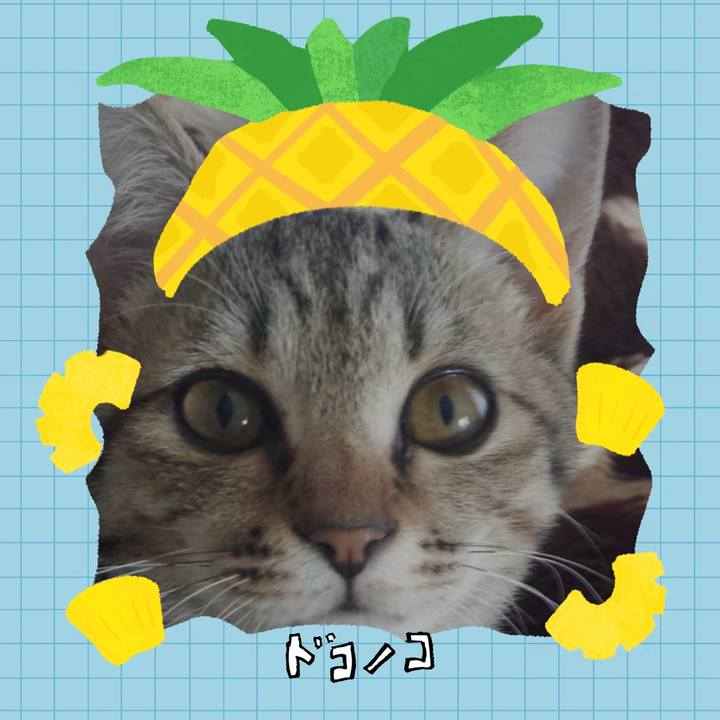 812c780e 018a 4a40 a8cc 915046715bd3 1783545557496