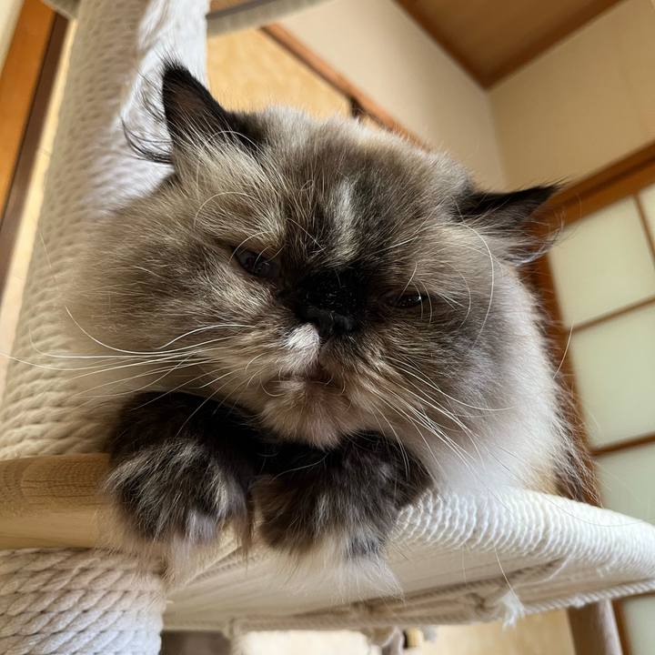 812c8f4d e0e9 4dca 9474 55dde2c4ff36 1756033302668