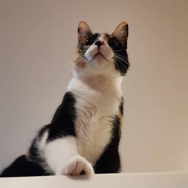 812ce077 4e7f 4055 b4a1 7c40e1066951 1621695510682