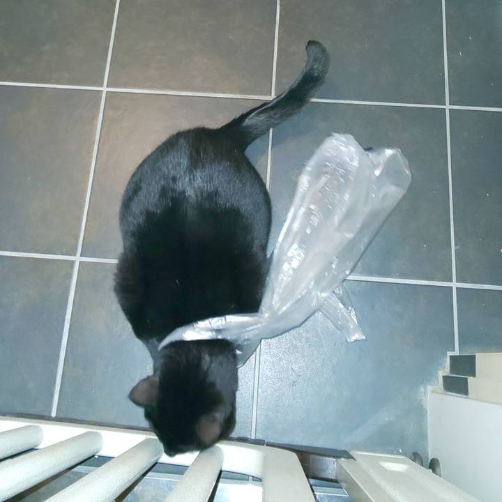 812d155e cbe9 4796 a478 cabd45f9413f 1642825230438