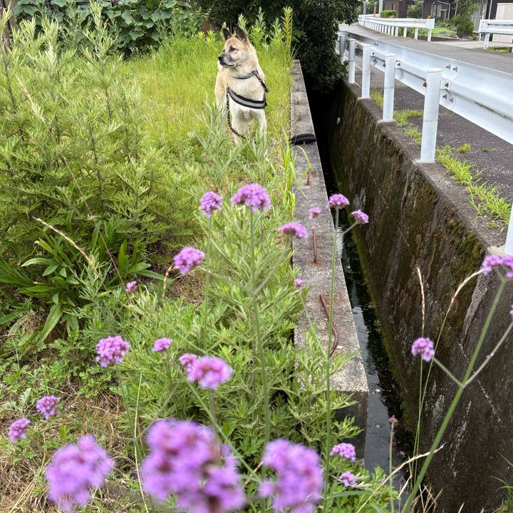 812db95b 8cdc 46c9 8b9d 8cf4969413b2 1751546510942