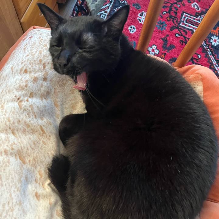 812db9c1 0bc8 4473 b655 5f7ff52a9d0b 1703117816250