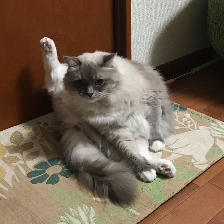 812dda77 2d7e 4b10 afd5 10c11aec787f 1512633956523