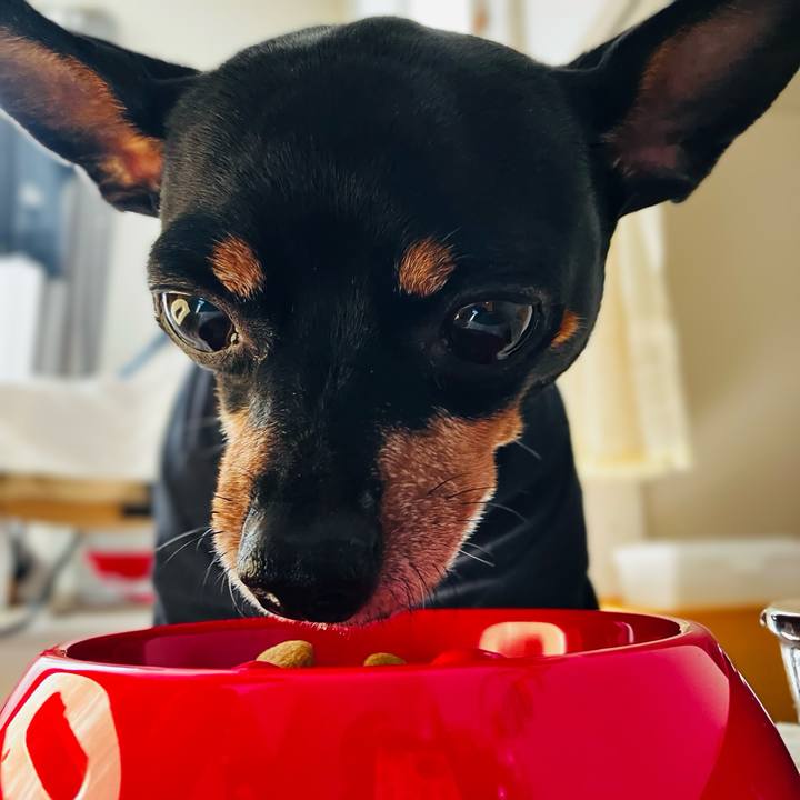 812de542 f470 4b4d b786 68b0b3611a9b 1735166802080