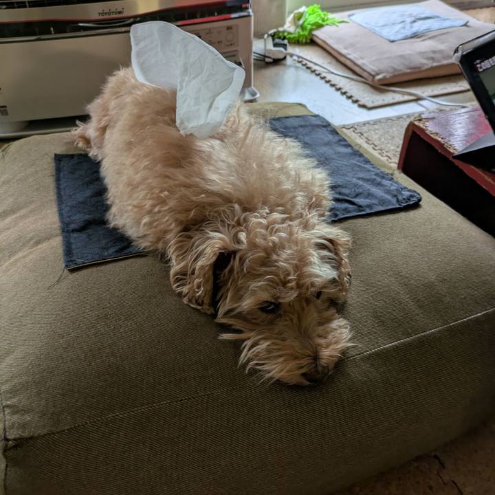 812de624 63f1 4b4d b6f8 7eae94ded47d 1747515104005