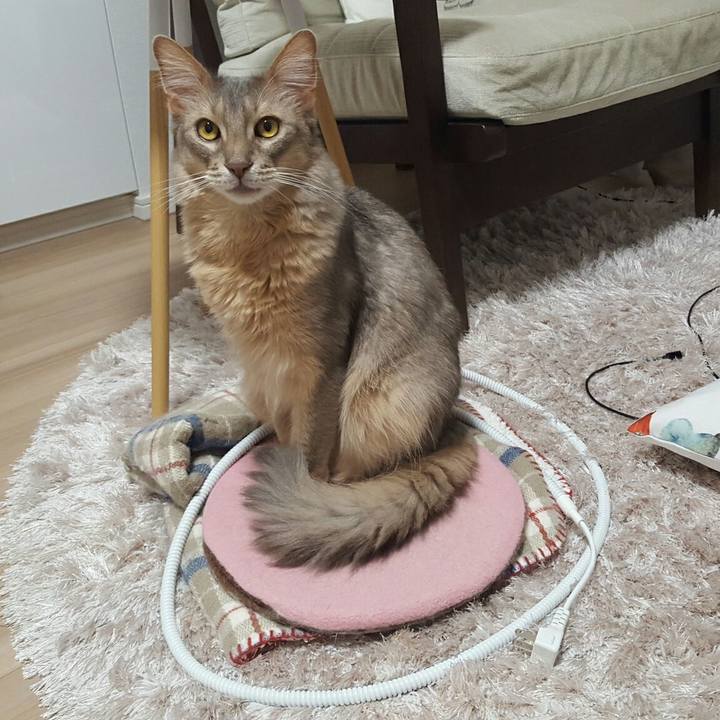 812e17c5 14e8 4e6e 9015 054ea3e31cf2 1525088844464