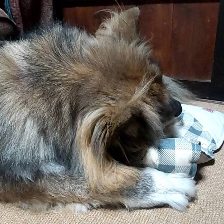 812e2315 82a7 4c26 9de3 5aae1b208007 1673532857060