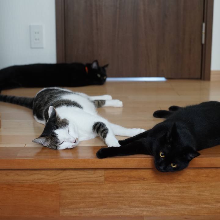 812e274e 8da3 4b89 8a35 b1166b465b19 1531093272298