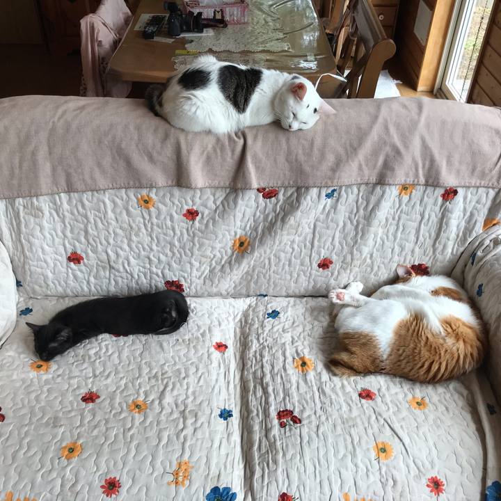 812e31f1 8c3f 4d3d bed3 676630ad6ba0 1563073518636