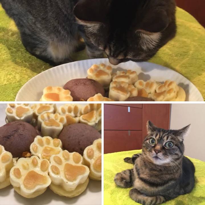 812e3513 5a54 405e 859d c72fe074c00b 1774102430004