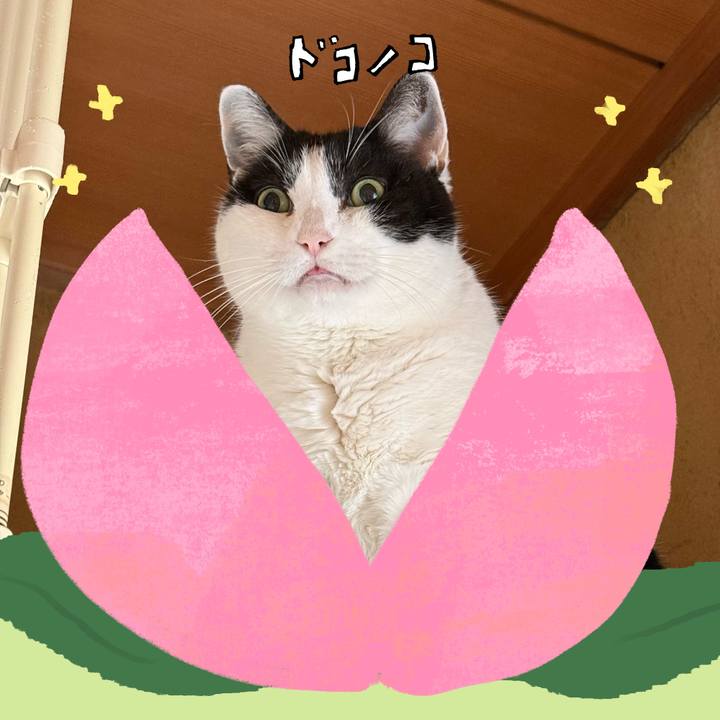 812e5e3f ea6c 41b0 8b2e 3628898d52f6 1771985923900