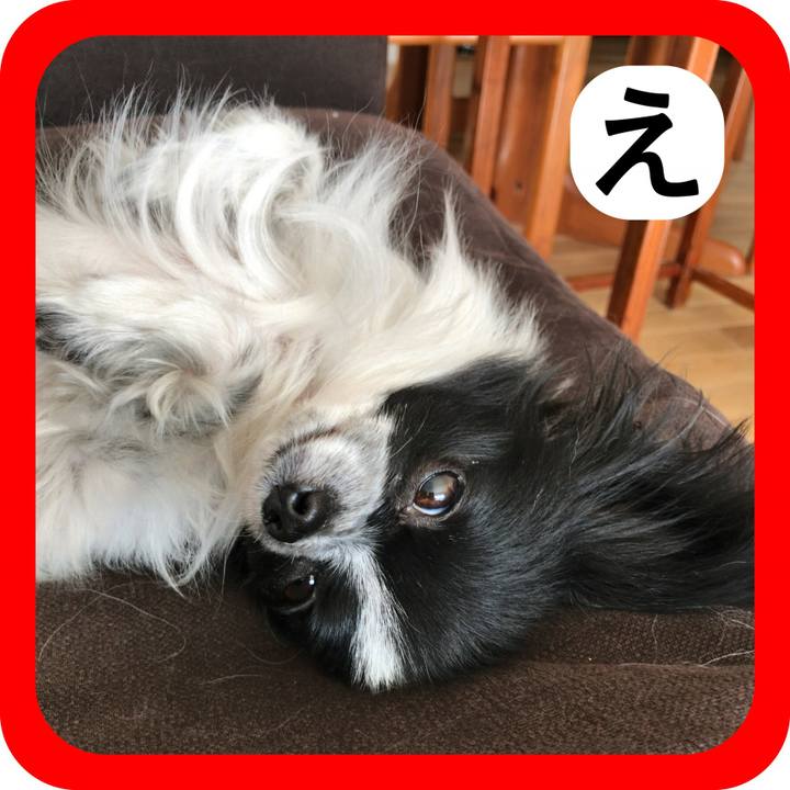 812e7e9d a373 471b bc3c 48bef9975cd0 1514864883858