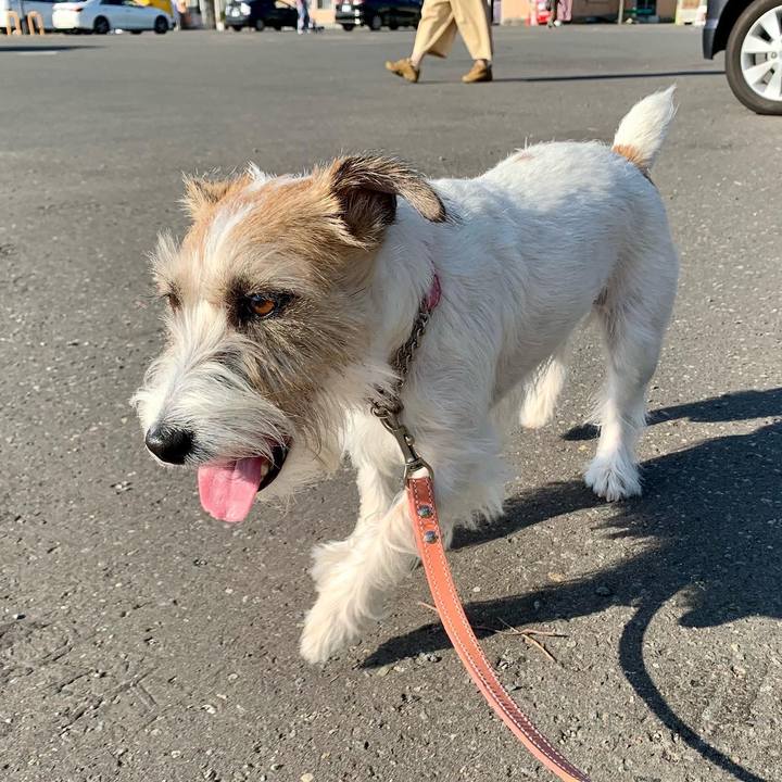 812e9c22 f4ac 4510 a70d 78843e657dba 1662902135852