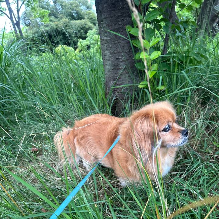 812ecab1 789b 42ba 9d17 d53dd25865f9 1719350178249