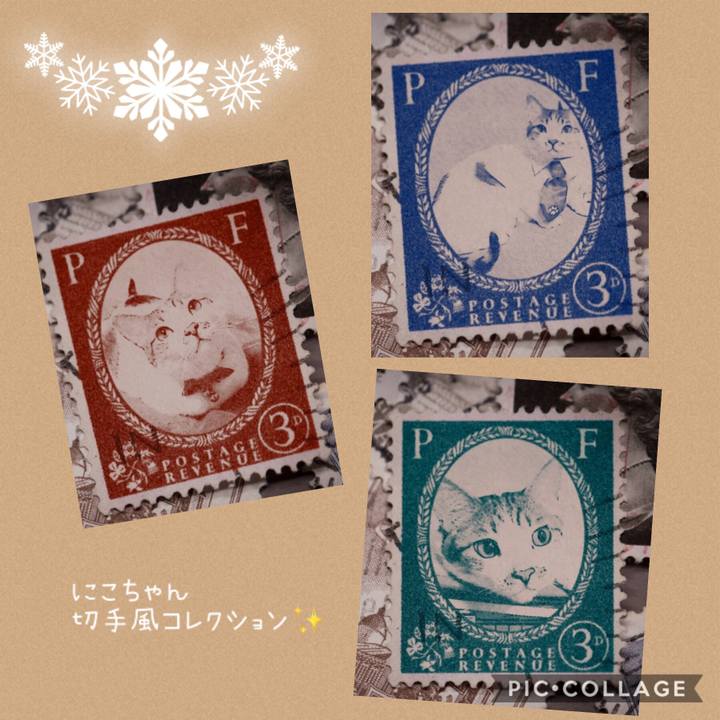 812f0408 bfa2 4987 b2e7 fa157ce1756b 1544587462733