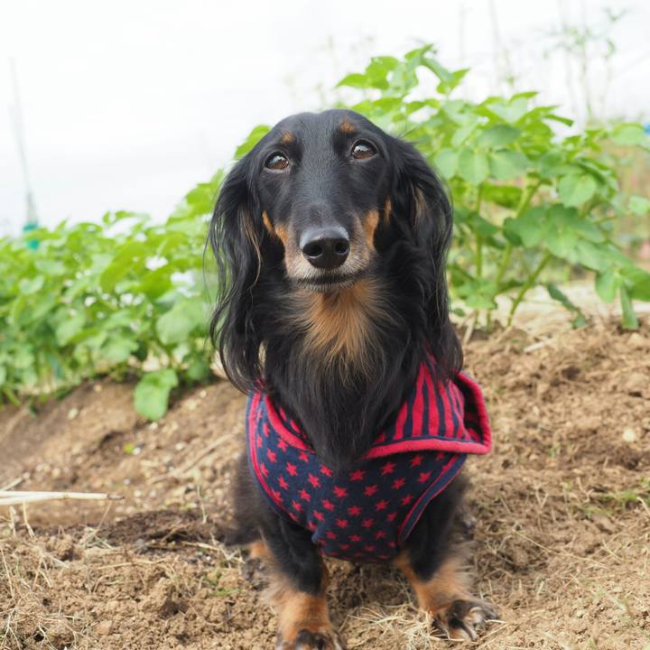 812f4047 9f52 4fa6 ab53 ace977191bef 1571795411714