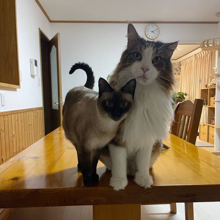 812f46d6 fbfd 4b47 a0e0 6027832891fd 1757450618957