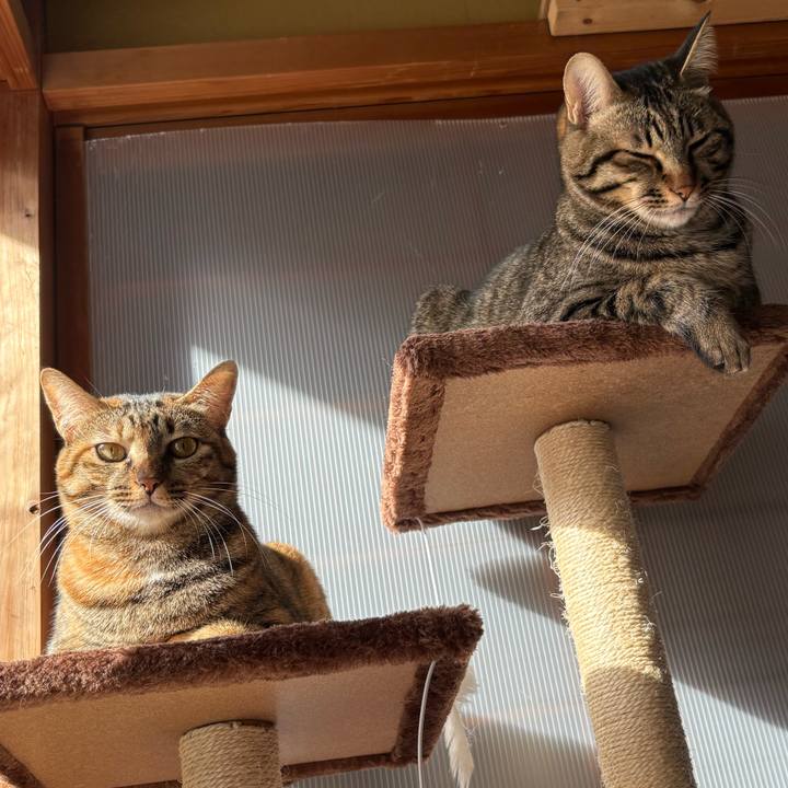 812f67d5 5b4c 480e 9ad5 54e2970815ff 1762558608741