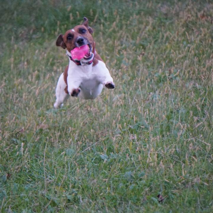 812fa3fe c362 4ef0 8bb3 0d04a38e8160 1509749108829