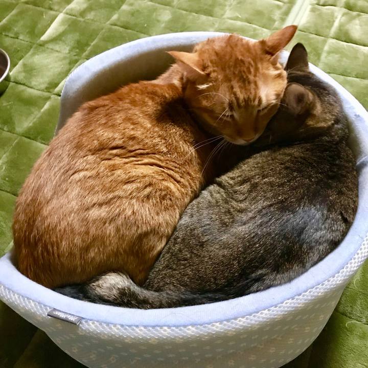 812fa6d1 8f55 46e5 9f37 2418a72ce8a9 1509188443186