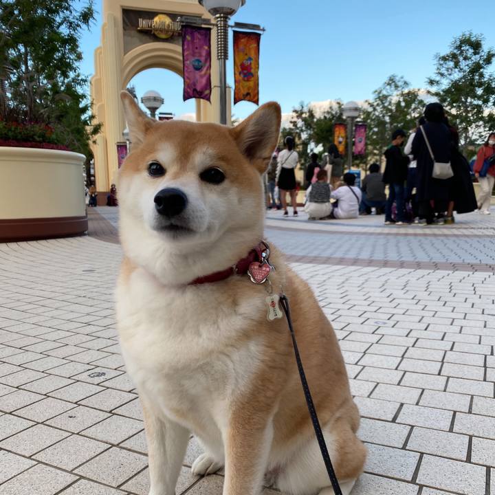 812fab38 034a 49ee a67f 777e43f87bd5 1603503792067