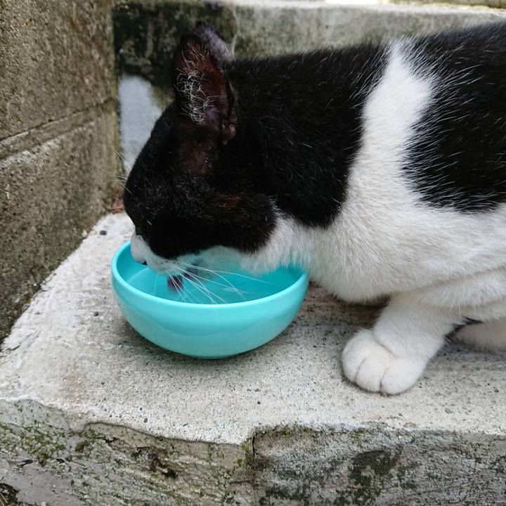 812fc171 a35b 4719 b76c 919a03a1269e 1693094520559