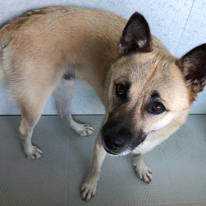 813004dc 32ba 4d64 b020 387ae07bd4d9 1531647499086