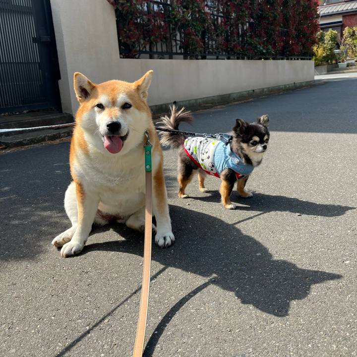 81303ed8 9a8f 4ce1 b7fb b99646eb3c0e 1648263229338