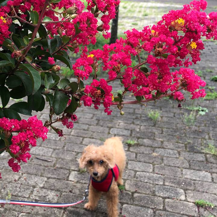 81306971 23b0 4e6c 9242 0826f2a36de7 1661136630640