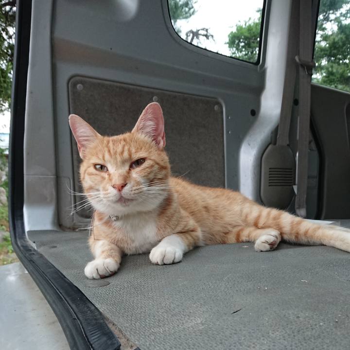 81306aca 96d8 442f ae72 f2d125b86ba2 1592903876681