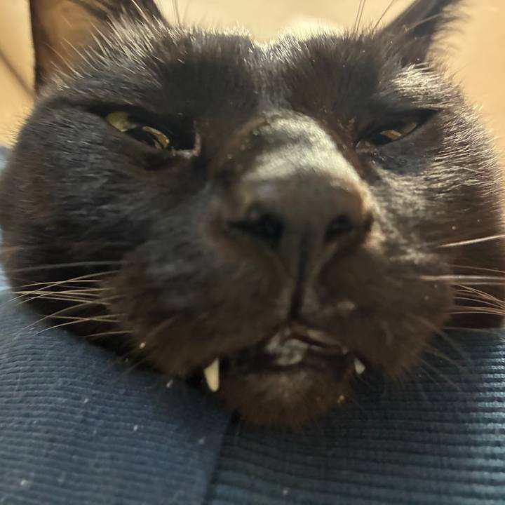 8130809a 61ff 449b b9c4 20ddaf504fb4 1763762839553