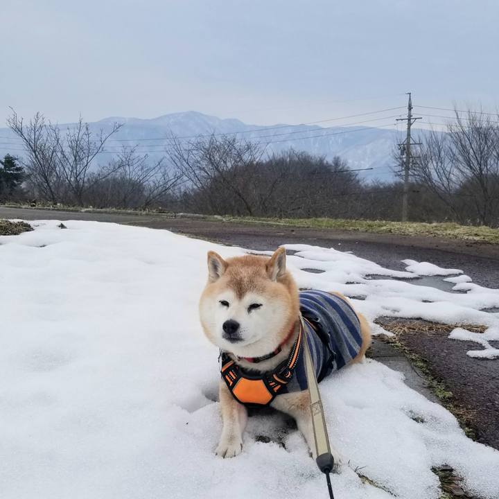 8130885a b7d2 4ce1 82c6 f88c2b3092d6 1710642852247