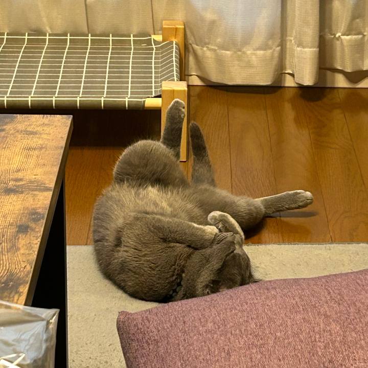 81308e33 ad22 45b0 9c9d 077a18d8d0fe 1685350146509