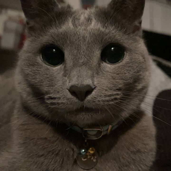 8130946f 4166 400e bcba 267126b4ccae 1715761109617