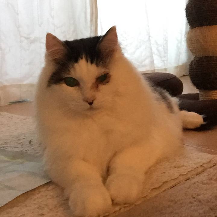 81309838 0ff6 419b 9147 720c7b8939df 1535629648079