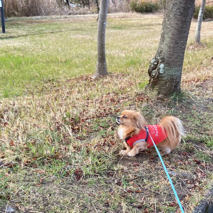 8130d7ec 69c1 4f7d 8e8f 48c168c52cc7 1609028164793