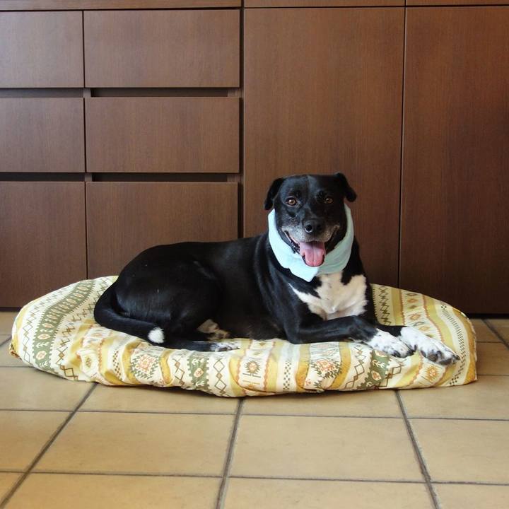 8130dc7e 2a54 4cc4 bd9c fda4c9c5d301 1690675283079