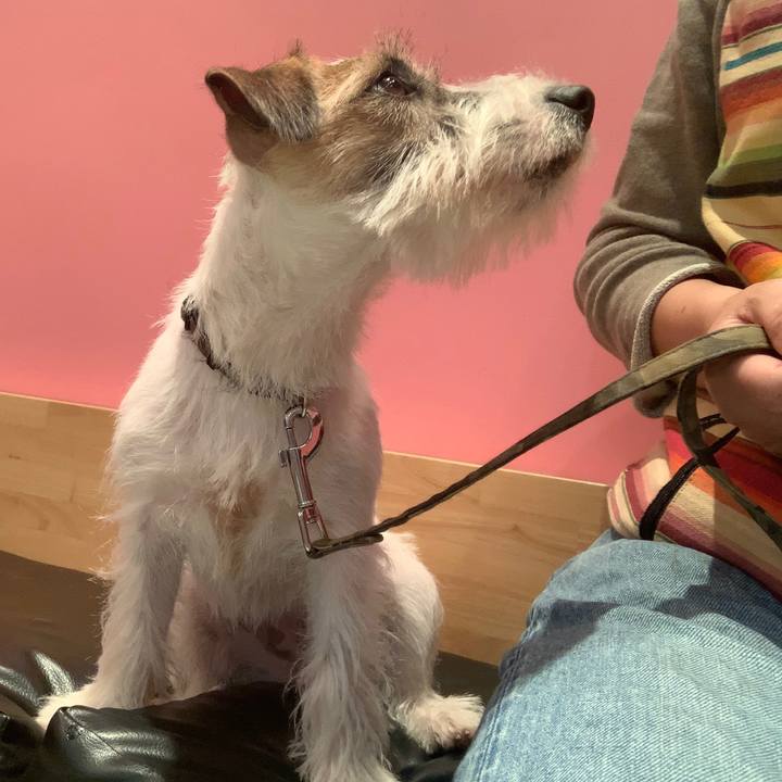 8130f05e afa6 4662 b4c1 c9def25ffb6c 1573133628948