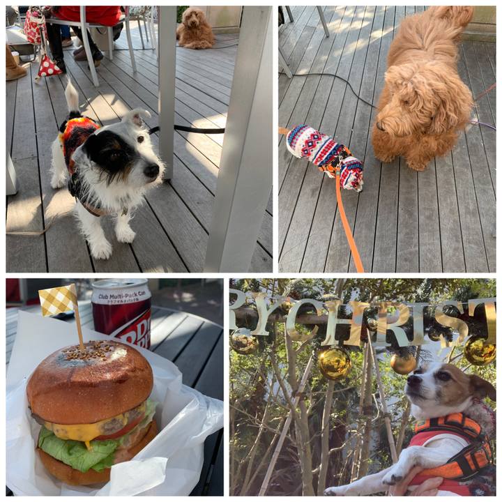 8131217a fd56 4350 8271 c14d18452dab 1575168347134