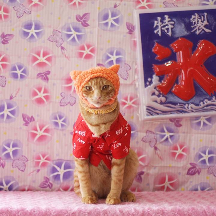 81315c88 ce6f 4592 98ce 13ad1e4dacd3 1690166267030