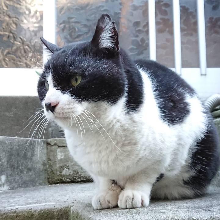 8131a737 8c3a 4898 beb6 14ae8825866e 1677397416705