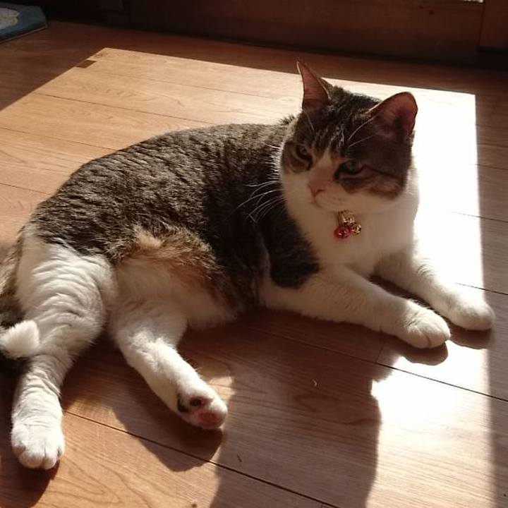 8131c7f4 508a 44c0 9f1e e2ca0fdd863b 1549155151391