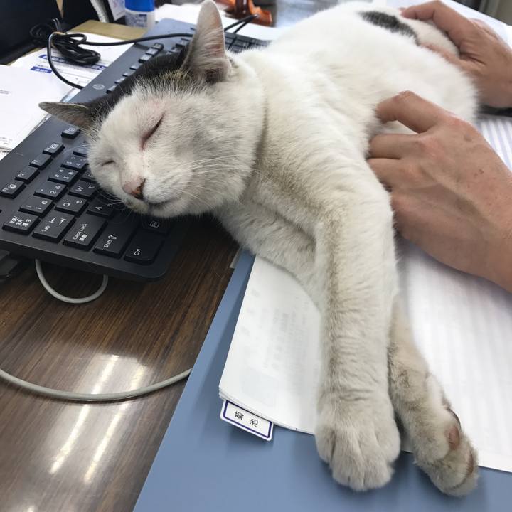 8131cb45 06c0 44c3 9cdb 74ad02c840c4 1553492357546