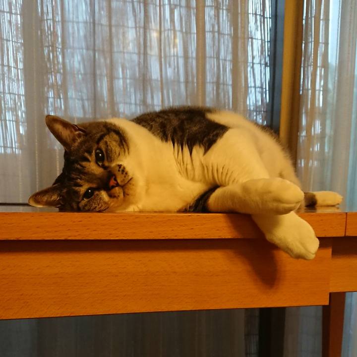 8131d9af fbda 4190 bded 5b27f92780cf 1564392376458